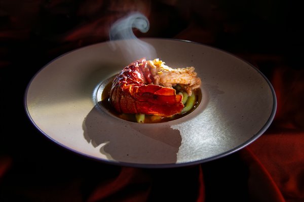 The Adriatic lobster