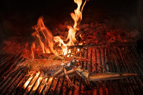 Best Seafood Restaurants in Split – Why Makarun Stands Out