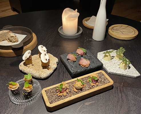 Learning from the Best: One Week at Grič